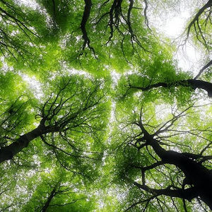 Meet your Posher, Gillian